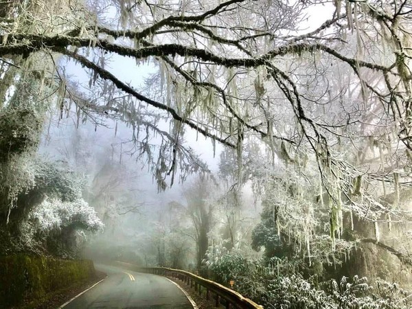 ▲▼中橫慈恩路段下雪,中橫公路慈恩路段霧淞。（圖／太魯閣晶英酒店提供）