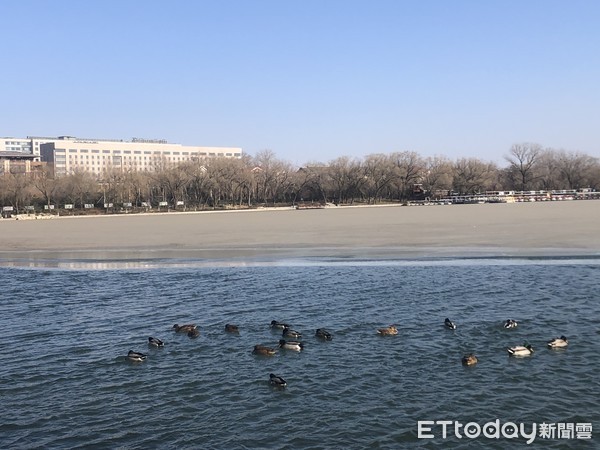 ▲強烈冷氣團來襲，北京玉淵潭公園半個湖面已結成冰。（圖／記者魏有德攝）