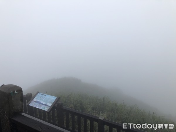 ▲▼陽明山二子坪低溫降雨。（圖／記者黃國霖攝）