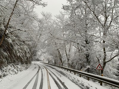 宜蘭太平山本周末下探0度「有積雪可能」　將啟預警性機動管制