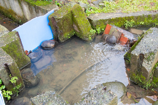 ▲月眉污水下水道系統接管完成