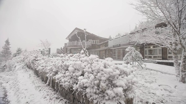 ▲▼0108太平山下雪,太平山睽違3年下雪,太平山雪景。（圖／太平山國家森林遊樂區提供）