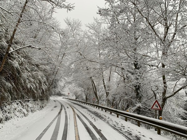 ▲▼0108太平山下雪,太平山睽違3年下雪,太平山雪景。（圖／太平山國家森林遊樂區提供）