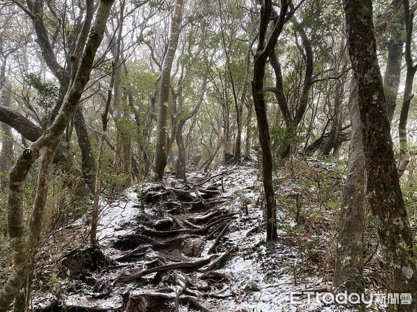 ▲▼！新竹北得拉曼山半夜落雪。（圖／實習記者吳旻珉攝）