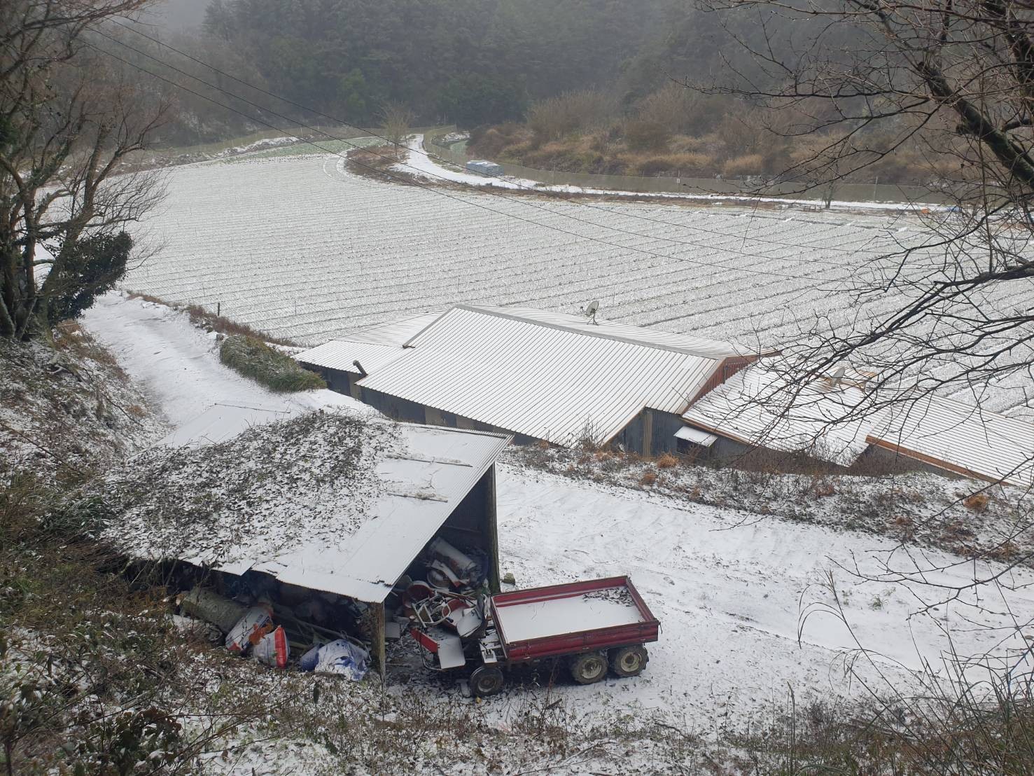 ▲▼0108思源啞口下雪，思源啞口雪景。（圖／武陵農場提供）