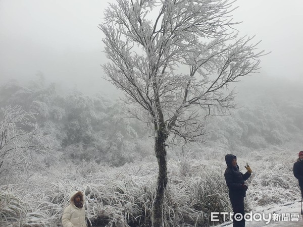 ▲▼0108思源啞口下雪，思源啞口雪景。（圖／武陵農場提供）