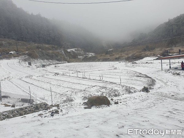 ▲▼0108思源啞口下雪，思源啞口雪景。（圖／武陵農場提供）