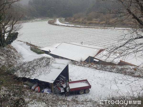 ▲▼0108思源啞口下雪，思源啞口雪景。（圖／武陵農場提供）