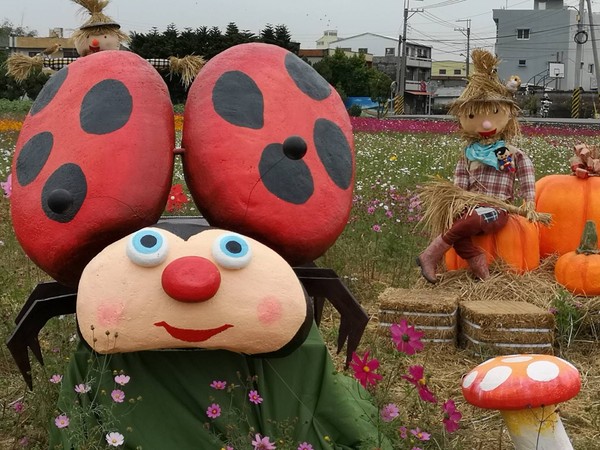 ▲南新花海藝術節紅衣女孩爆紅。（圖／記者唐詠絮攝）