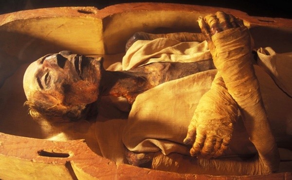 ▲▼埃及法老拉美西斯二世（Ramesses II）。（圖／翻攝Twitter@Inquilabo）