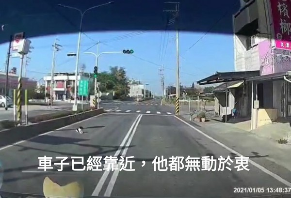 乳牛狗路中間攔路。（圖／翻攝自徐文良（徐園長護生園）臉書）