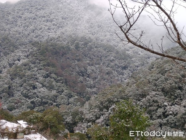 ▲拉拉山今（9日）早雪況。（圖／桃園市觀旅局提供）