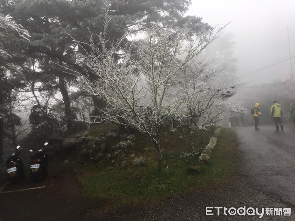 ▲▼向陽派出所降冰霰。（圖／地方中心翻攝）