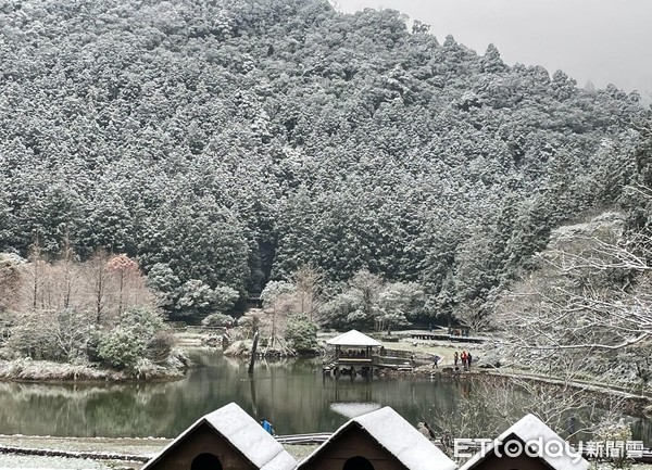 ▲▼宜蘭明池森林遊樂區下雪，明池雪景，明池落羽松雪景，明池下雪。（圖／力麗觀光提供）