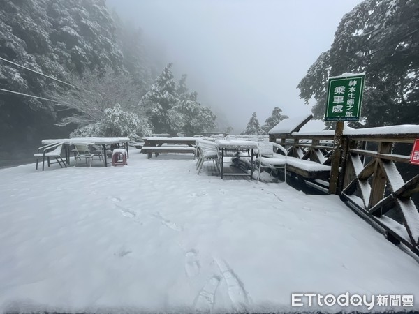 ▲▼宜蘭棲蘭神木園下雪，棲蘭神木園雪景。（圖／力麗觀光提供）