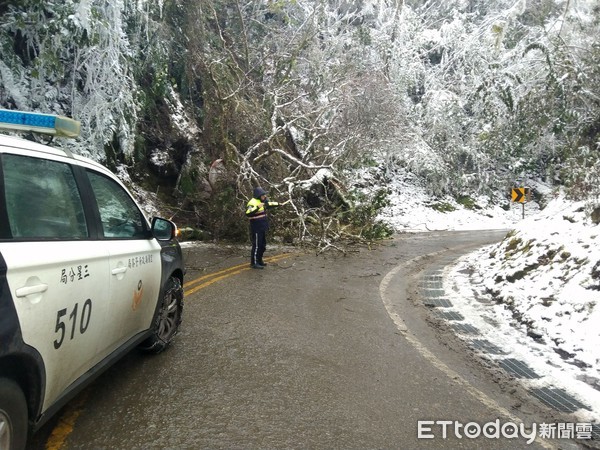 ▲▼台七甲線雪地巨樹倒差點擊中遊客，目睹的南山派出所所長曾文雄等人緊急交管護民。（圖／記者游芳男翻攝，下同）