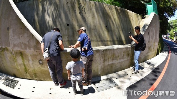 ▲新北承天路農路「路殺工程」真管用 近九成野生動物遠離死亡。（圖／新北市農業局提供）