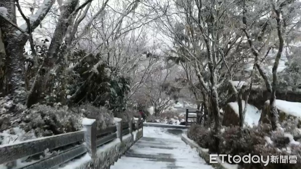 ▲▼12日清晨-2度乾冷沒下雪，但霧淞妝點太平山，追雪車潮近3公里。（圖／記者游芳男翻攝，下同）