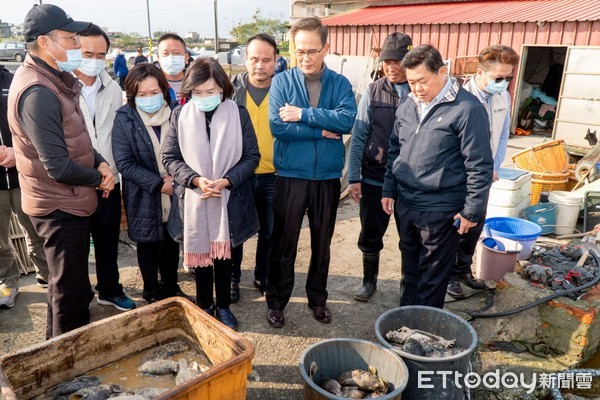 ▲▼宜蘭養殖的龍虎斑，經不起寒流接連來，受寒害養殖面積4.8公頃，損失上百萬元。（圖／記者游芳男翻攝，下同）