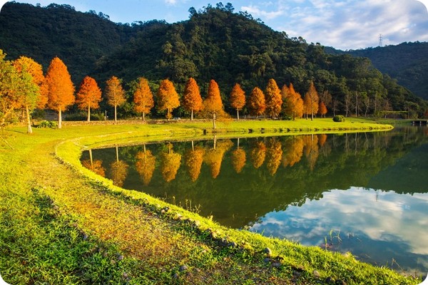 ▲▼冬季限定美景。（圖／《捲捲頭／品味生活》提供，以下皆同，請勿隨意翻拍以免侵權）