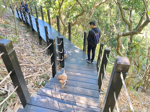 ▲▼全家不妨利用年節登山健身兼防疫，大坑步道、谷關七雄任君挑選。（圖／台中市政府提供）