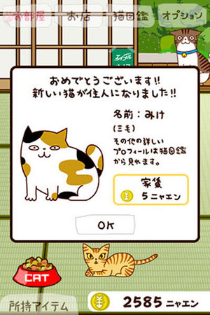 忍不住就想摸一下 《(ΦΦ)猫房东》app好萌!