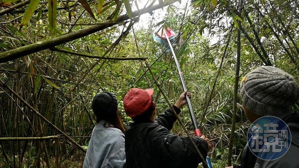 平溪人的生活日常，「撿天燈」非常重要。