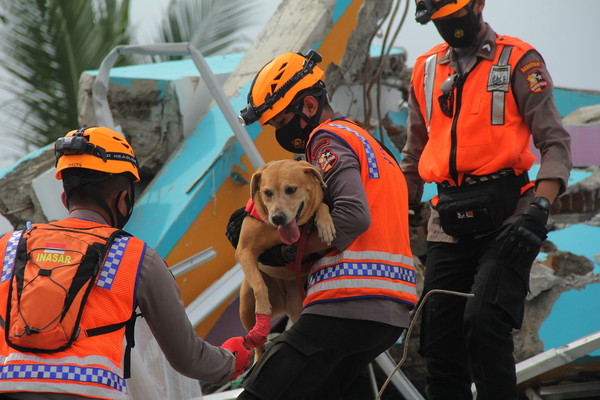 ▲▼印尼強震截至18日已造成81人死亡、800多人受傷。（圖／路透）