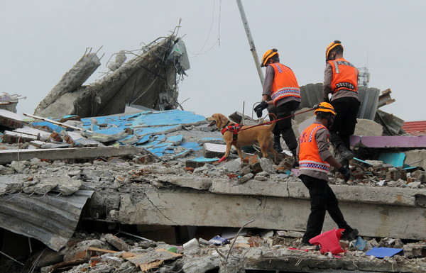 ▲▼印尼強震截至18日已造成81人死亡、800多人受傷。（圖／路透）