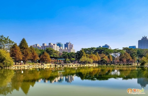 ▲▼凹仔底森林公園。（圖／《饗食客棧。淘氣猴vs肥獅子の旅食天堂》提供，以下皆同，請勿隨意翻以免侵權）