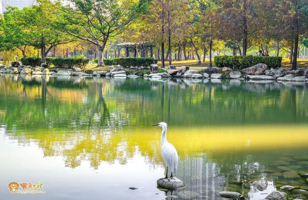 ▲▼凹仔底森林公園。（圖／《饗食客棧。淘氣猴vs肥獅子の旅食天堂》提供，以下皆同，請勿隨意翻以免侵權）