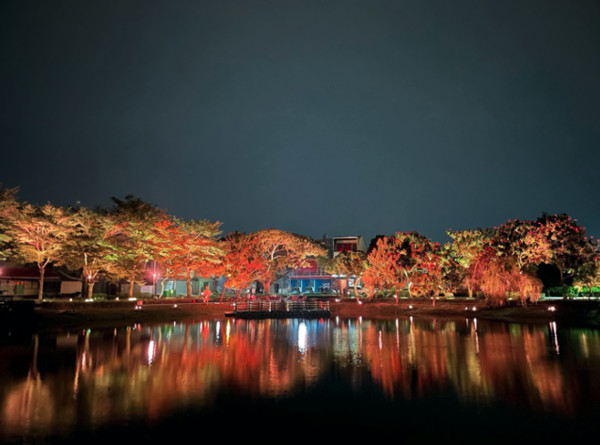 月津港燈節10年前夕　水域景觀璀璨變身     。（圖／公關提供）