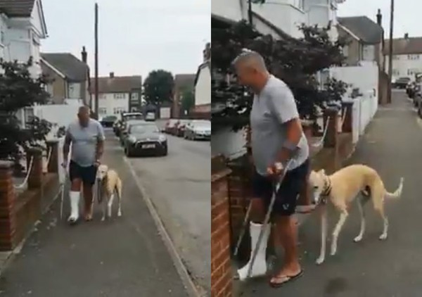 ▲▼花萬元檢查愛犬跛腳傷勢　才發現牠只是同情飼主。（圖／翻攝自推特）