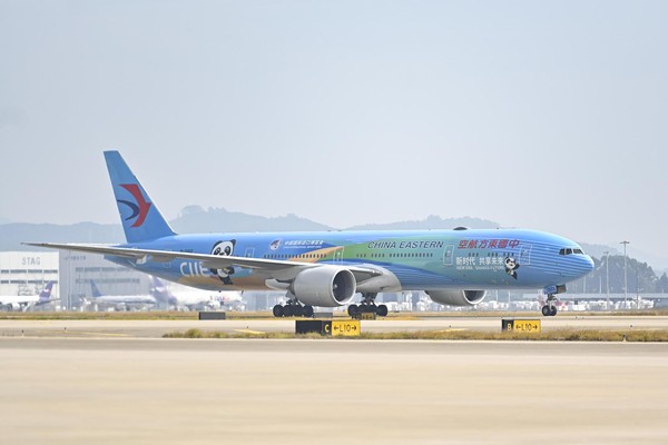 ▲東方航空的波音777-300ER「進博號」彩繪機，機身有吉祥物貓熊「進寶」塗裝。（圖／CFP）