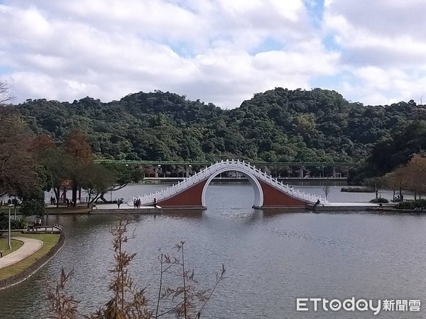 ▲▼大湖公園、大湖街一帶透天別墅林立。（圖／記者黃靖惠攝）