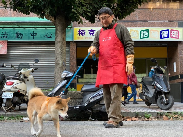 ▲▼飼主從3樓陽台摔狗「1死1傷」！　柴柴走出陰霾成為校園犬。（圖／新北市動保處提供）