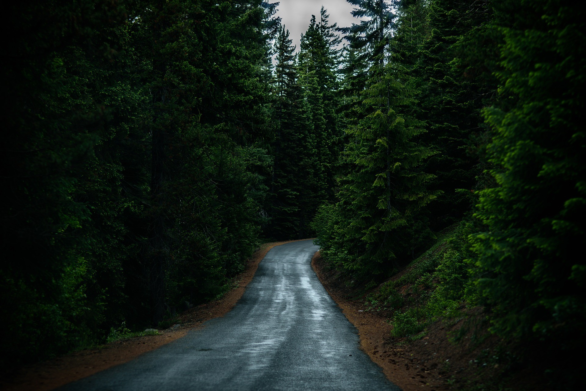 ▲▼道路,山路。（圖／取自免費圖庫pixabay）