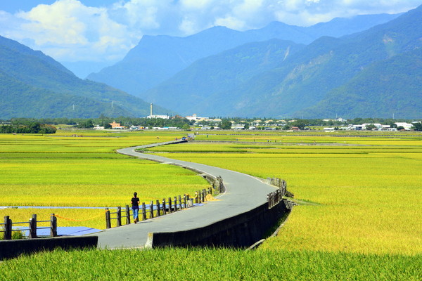 ▲▼台東池上天堂路。（圖／台東縣政府提供）