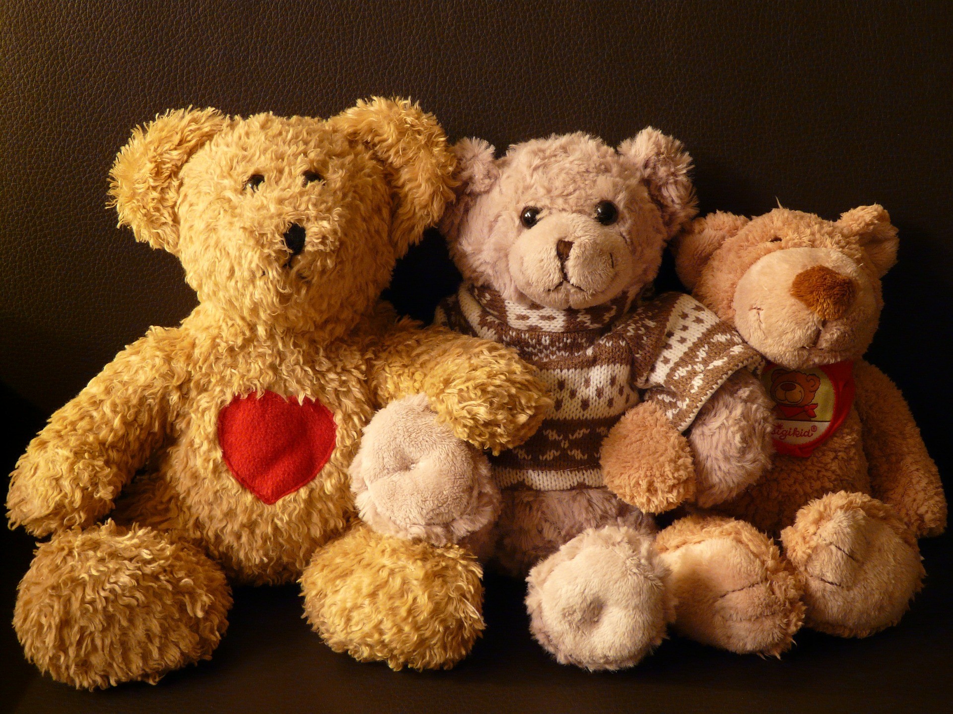 ▲▼玩具,泰迪熊,熊,玩偶。（圖／取自Pixabay）