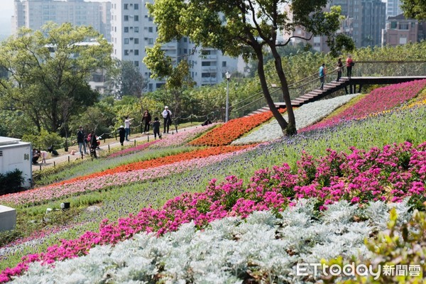 ▲北投「2021三層崎公園花毯」開幕。（圖／記者彭懷玉攝）