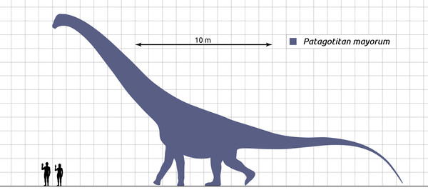 ▲巴塔哥巨龍以體型龐大而著名，體重達77噸。（示意圖／翻攝自維基百科）