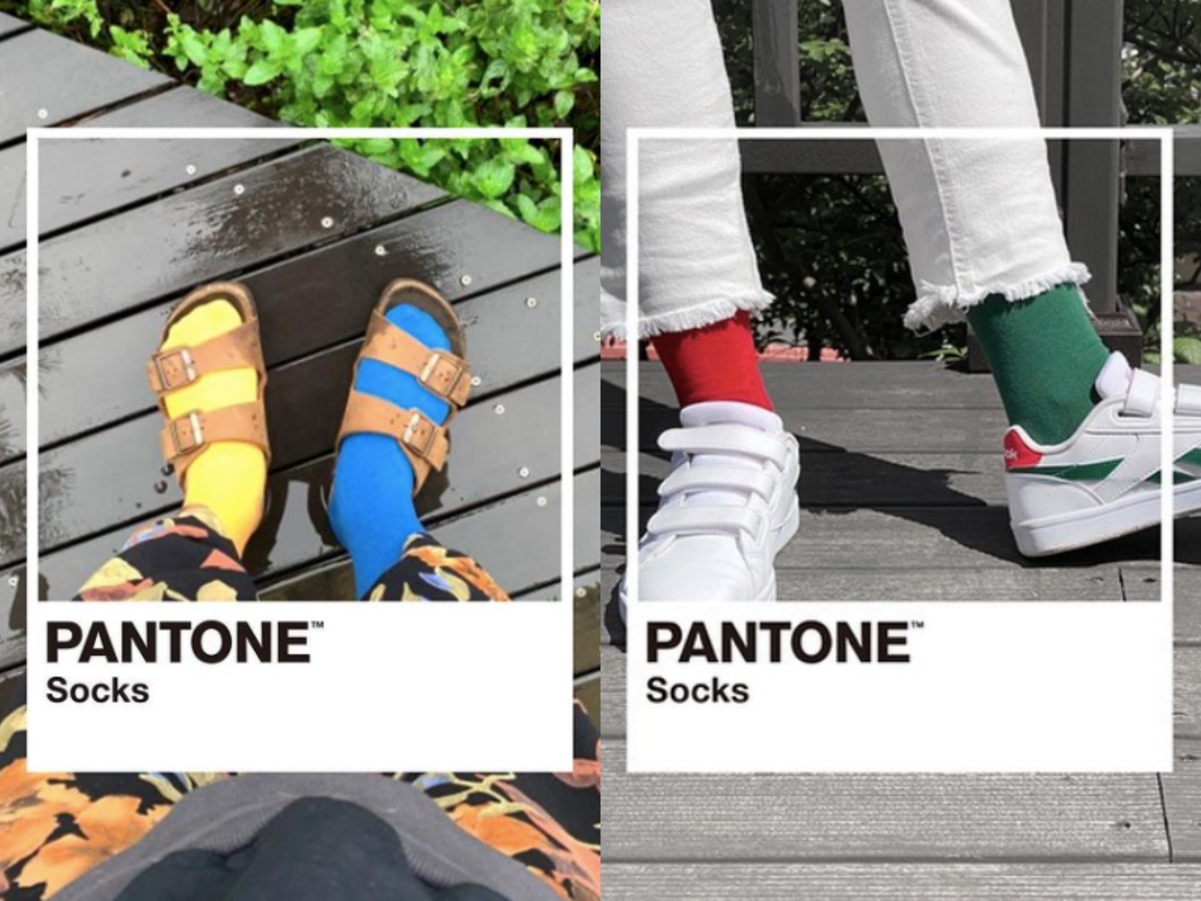 ▲pantone色票襪子。（圖／翻攝自Pantone socks官網）