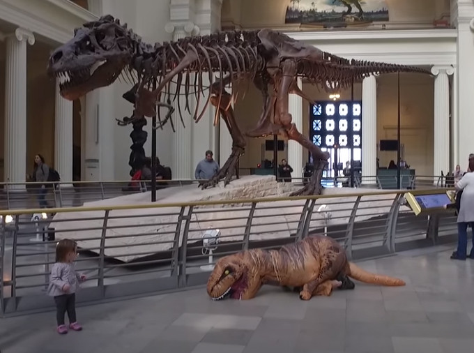 ▲▼ YouTube用戶「Chicago T-Rex」上傳霸王龍哭爸的影片。（圖／翻攝自YouTube）