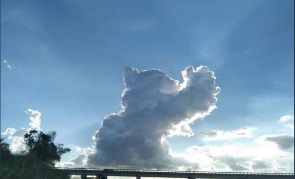 ▲▼天空中的「貓雲」體積巨大，彷彿佔領全世界一樣。（圖／翻攝自推特／@nakamanian）