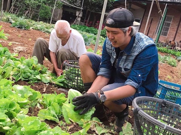 ▲▼蔡祥和和阿公在菜園挑菜。（圖／記者蔡祥和提供）