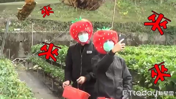 ▲▼搶錢也搶草莓。（圖／警方提供）