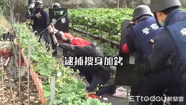 ▲▼搶錢也搶草莓。（圖／警方提供）