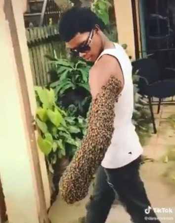 ▲▼男子手臂環繞著數千隻蜜蜂，表情依然超淡定。（圖／翻攝自TikTok／@daniiradman）