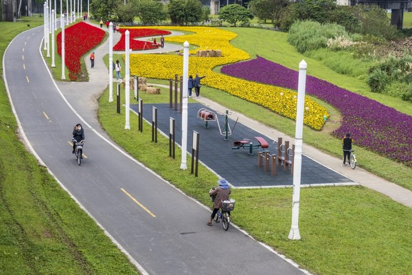 ▲北市府水利處近來在美堤河濱公園、成美左右岸河濱公園佈置上花海，即日起至2月上旬最美。（圖／水利處提供）