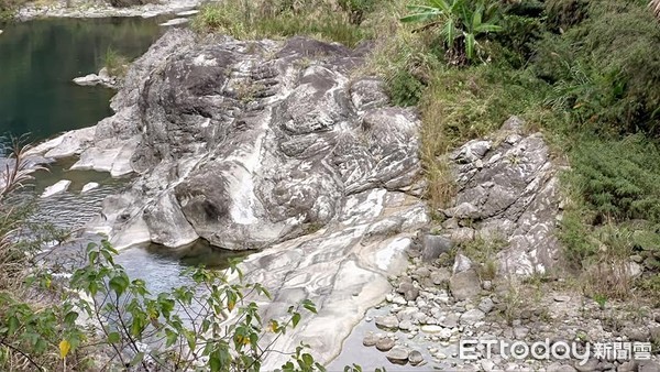 ▲攝影家愛天樂拍下河谷景如雪納瑞等名犬。（圖／愛天樂授權）